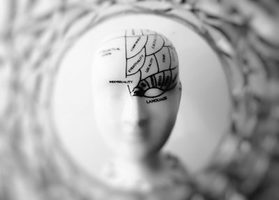 Increasing Your Brain’s Performance For Greater Leadership Success - By Dr. Jerry V. Teplitz